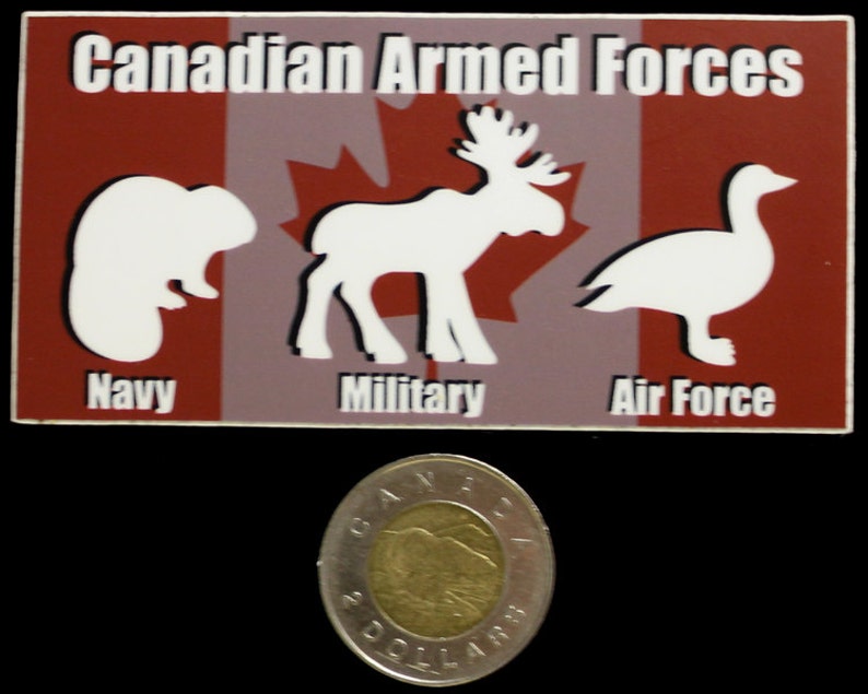 SMALL Funny Canadian Sticker Bumper Sticker Canadian Armed Etsy