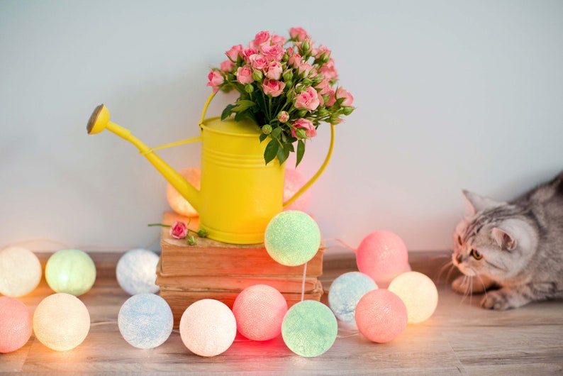 May include: A yellow watering can filled with pink roses sits on a stack of books with a string of pastel colored cotton ball lights. A gray tabby cat is looking at the lights.