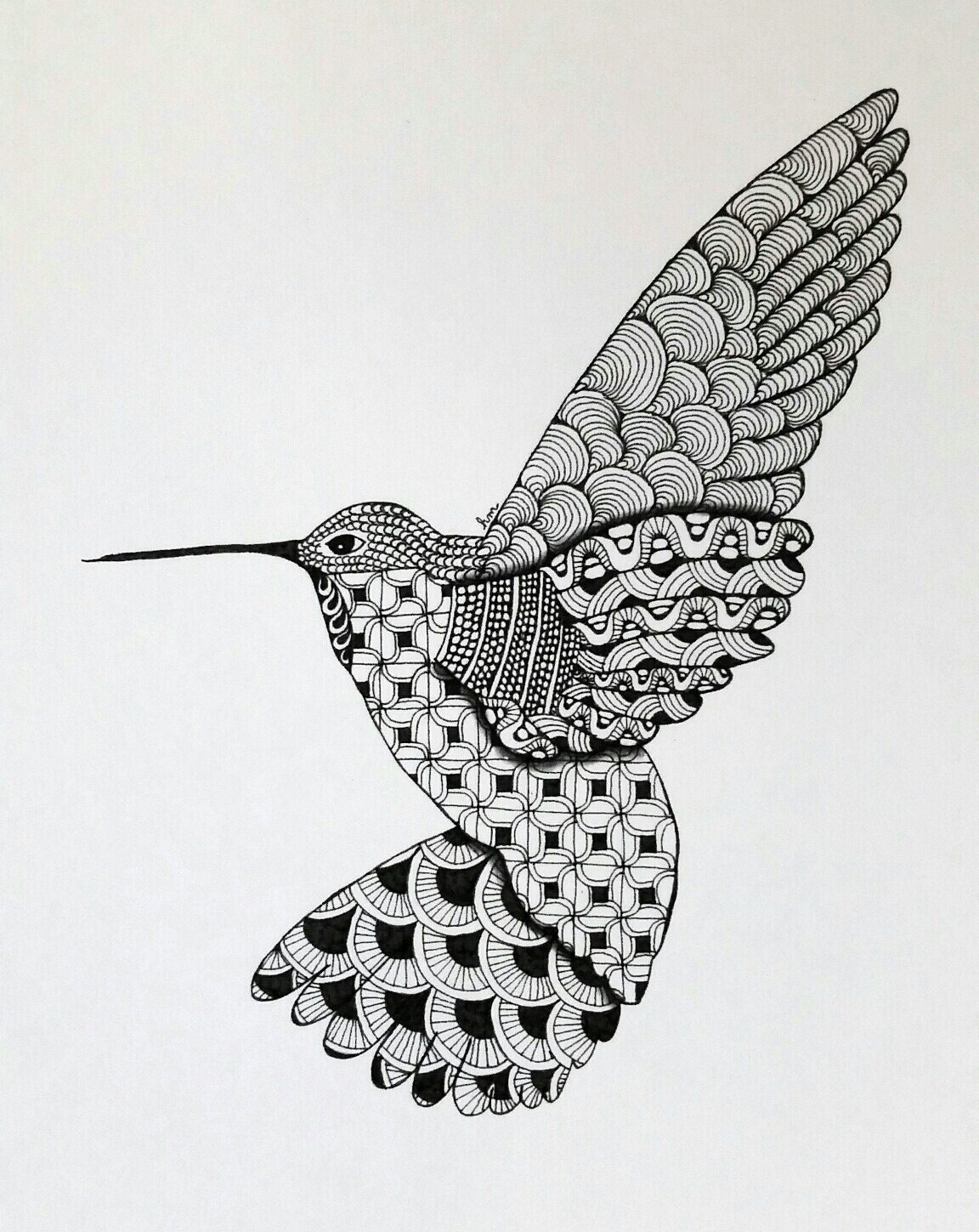Download Hummingbird Zentangle Art Print | Etsy
