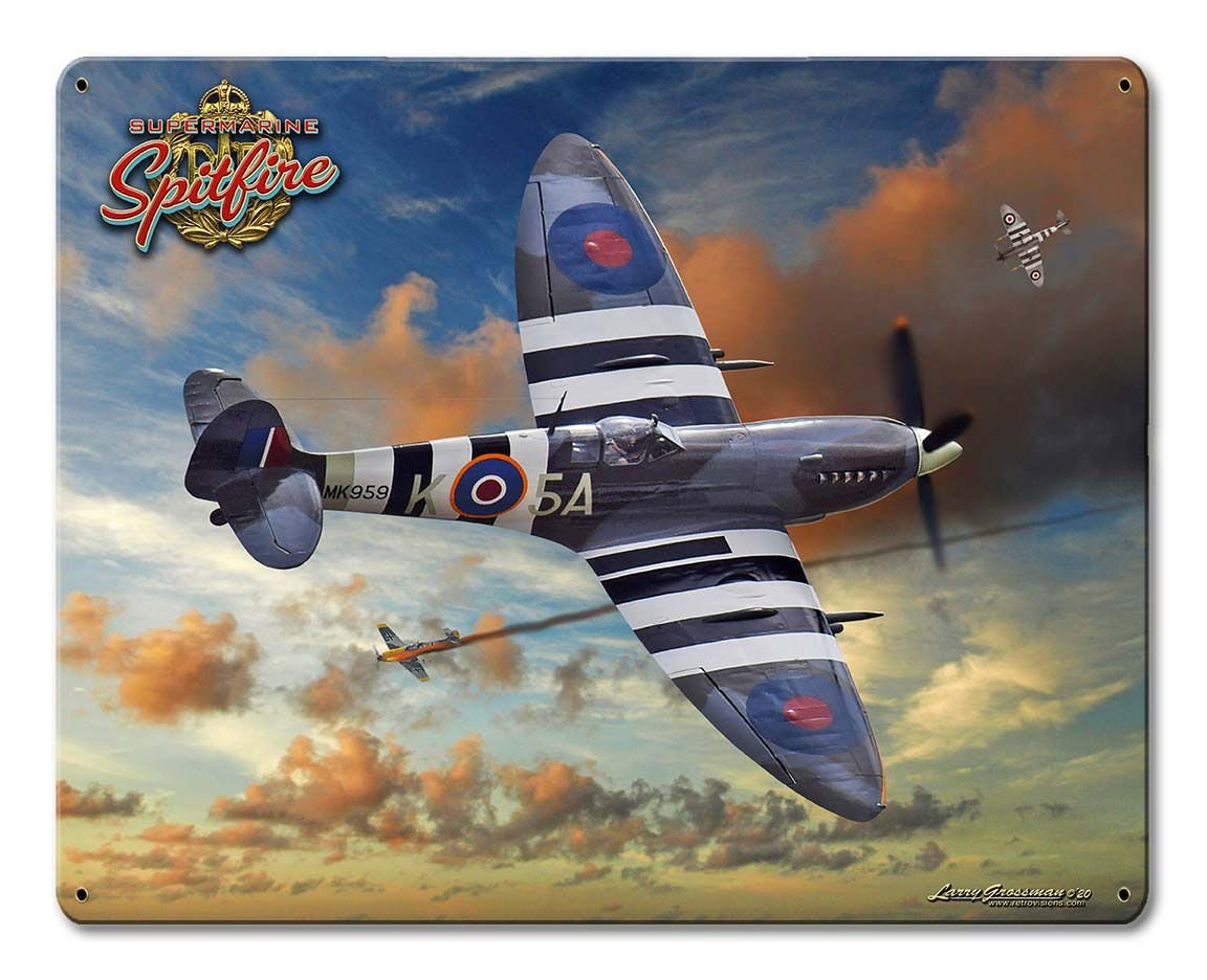 Dog Fighting Aircraft