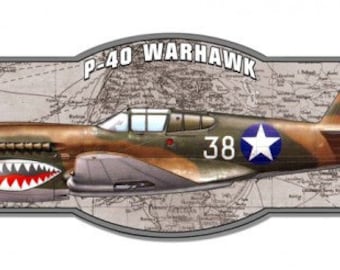 P40 Warhawk Fighter | Etsy