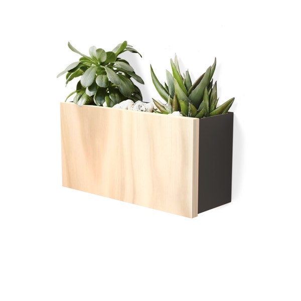 Modern Wall Planter - Charcoal Powdercoated Aluminium Body, Stainless Steel Hardware + Timber Front.