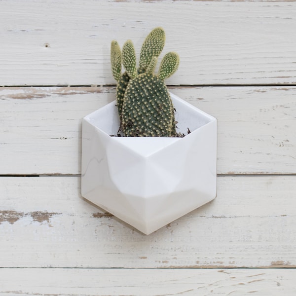 White geometric hexagon ceramic wall hanging planter with wood back