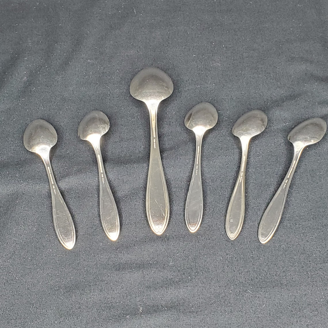 1915 Oneida Community Par Plate Bridal Wreath Pattern 6 Pieces Etsy