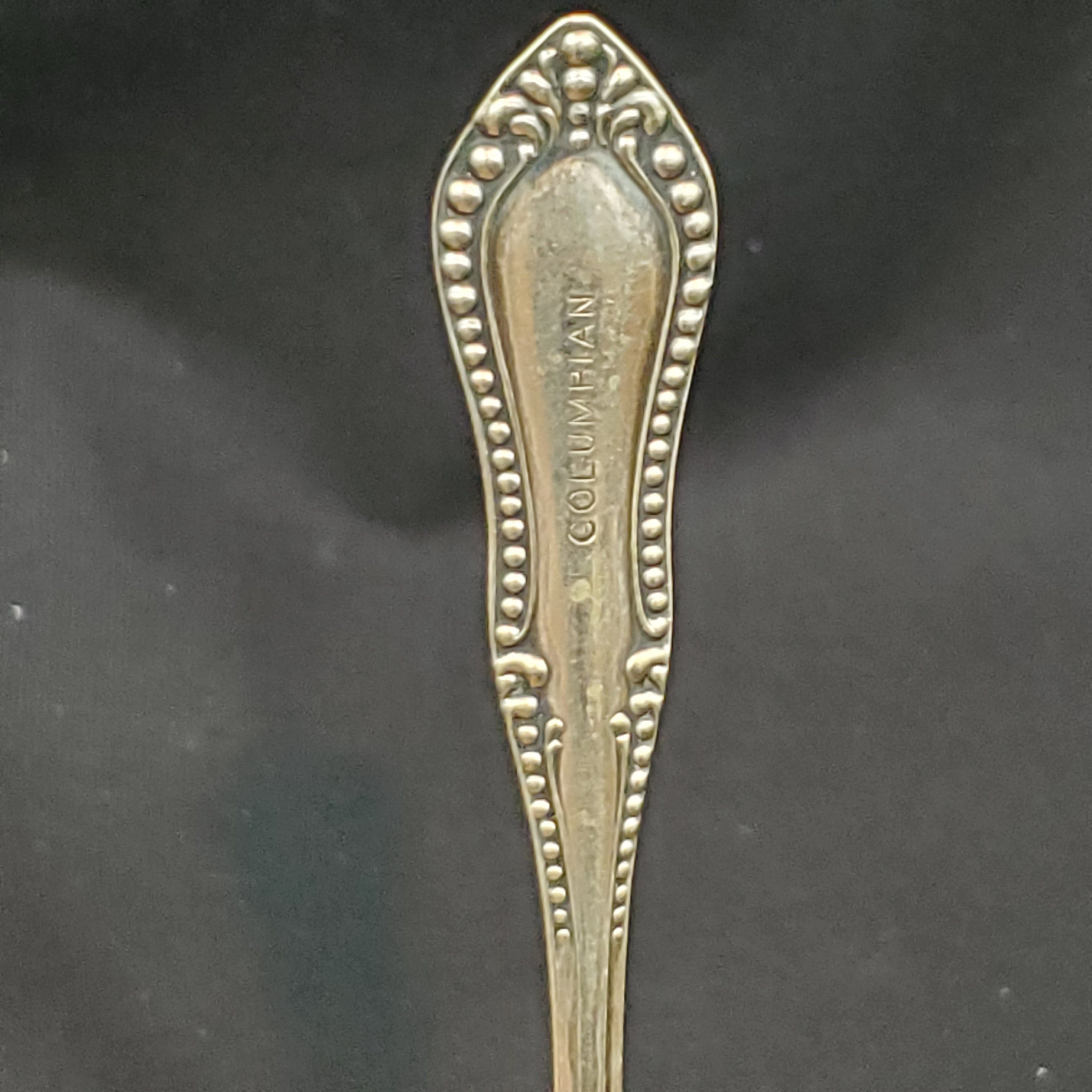 1896 Oneida Silver NF Co Beaded Niagara Falls Pattern 2 Etsy