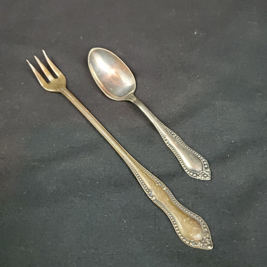 1896 Oneida Silver NF Co Beaded Niagara Falls Pattern 2 Pieces Etsy UK