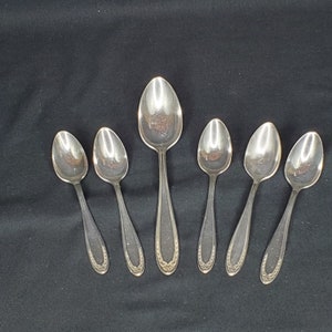 1915 Oneida Community Par Plate Bridal Wreath Pattern 6 pieces