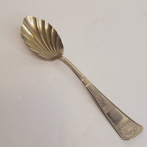 Puede incluir: Una cuchara de azúcar de plata con un mango adornado y un cuenco en forma de concha.