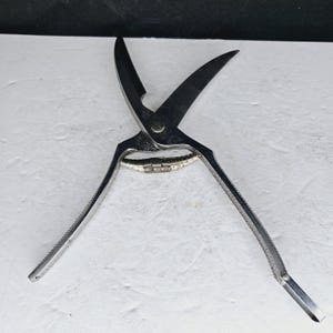 Henckels Poultry Shears Chrome Plated