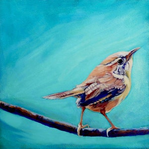 Quirky Wren Print, Framed or unframed