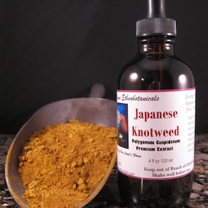 JAPANESE KNOTWEED Extract / Tincture 4 oz dropper bottle image 1