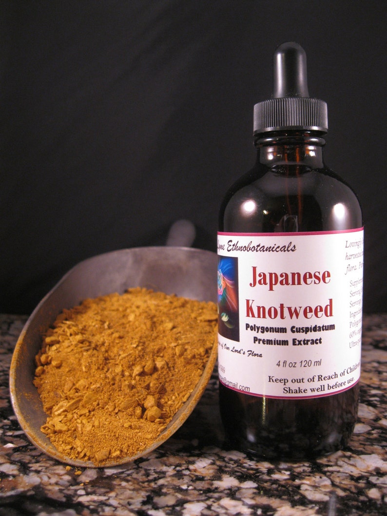 JAPANESE KNOTWEED Extract / Tincture 4 oz dropper bottle image 1