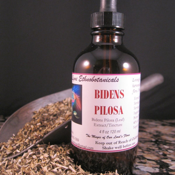 BIDENS PILOSA 1:4 Extract / Tincture Liver Support Buhner dropper bottle (True Bidens Pilosa)