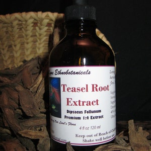 May include: A brown glass bottle with a dropper top, labeled "Teasel Root Extract" and "Dipsacus Follunum Premium 1:4 Extract". The bottle is sitting on a pile of dried brown plant material. The label also says "4 fl oz 120 ml" and "Keep out of Reach of Children. Shake well before use."