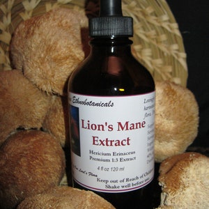LION'S MANE 1:3 Extract / Tincture Dual Extraction Professional Grade Pacific Northwest Mushroom