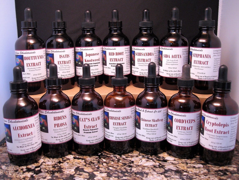 JAPANESE KNOTWEED Extract / Tincture 4 oz dropper bottle image 2