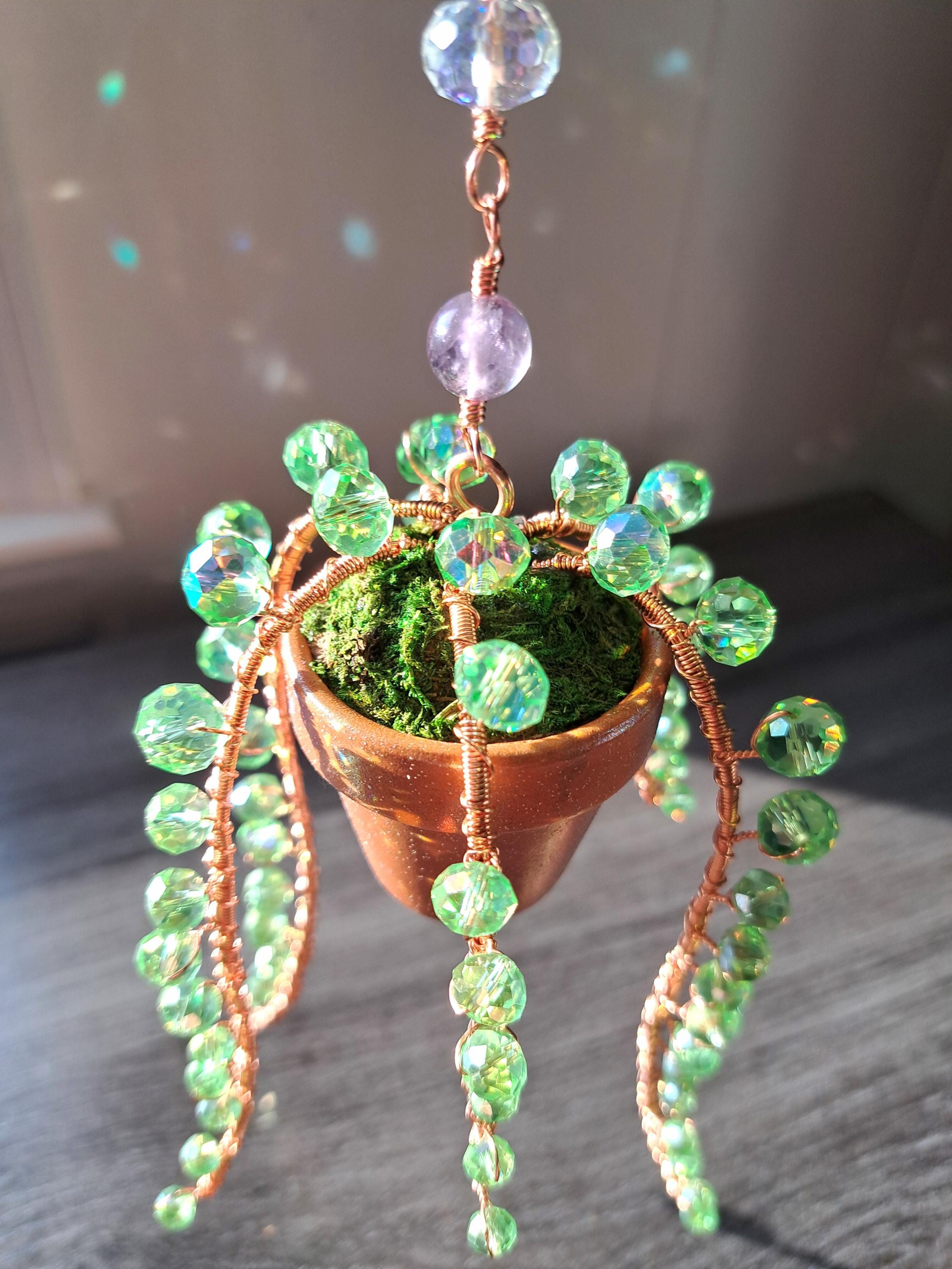 The Original String of Pearls Forever Succulent, Beaded Plant Suncatcher,  Crystal Plant Decor - Etsy