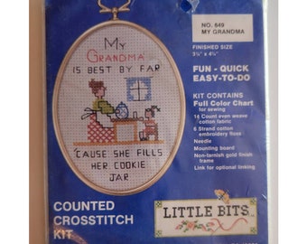 Little Bits Counted Cross Stitch Kit #649 My Grandma Vintage Cookie Jar Frame