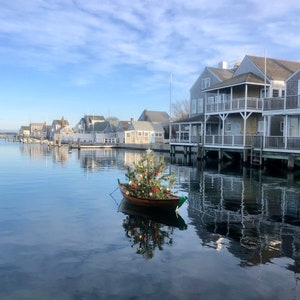Nantucket Stroll Tree Digital Print