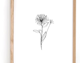 Chrysanthemum Drawing Etsy