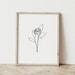 June Birth Flower Rose Drawing Floral Line Art Physical - Etsy