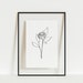 June Birth Flower Rose Drawing Floral Line Art Physical - Etsy
