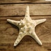 see more listings in the Starfish section