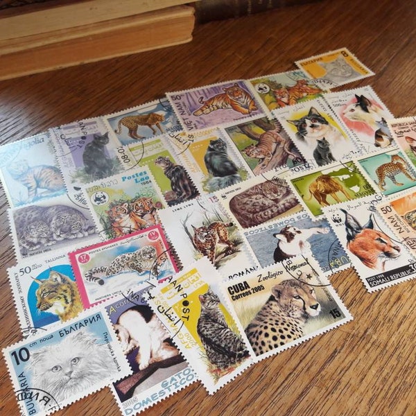 25 Katzen Briefmarken. Weltweit