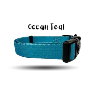 Teal Dog Collar / Dog Collar Teal /  Dog Collar  / Girl Dog Collar /  Boy Dog Collar / Teal Dog Collar