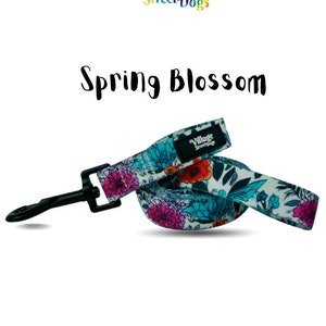 Dog Leash / Dog Leash for Small Dog  / Dog Leash with Patterns / Girl Dog Leash /  Dog Leash for Boys / Leash for Dogs