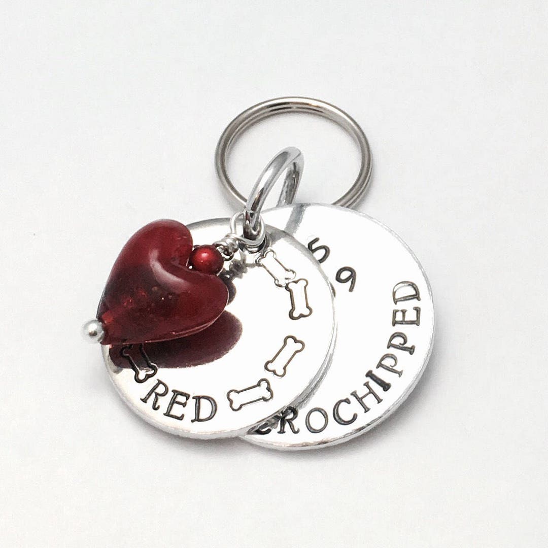 Pet Identity Tag for Large Dog Personalise With Your Own Etsy