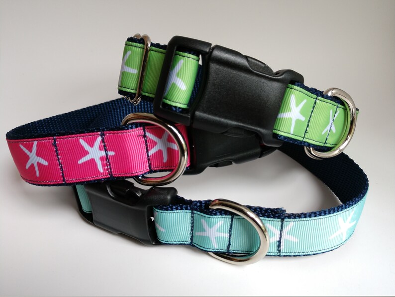 Adjustable Length Dog Collar 1 Inch width Starfish Dog Collar