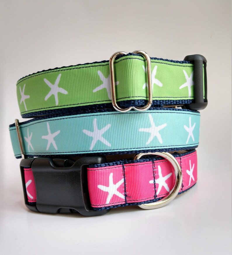Adjustable Length Dog Collar 1 Inch width Starfish Dog Collar
