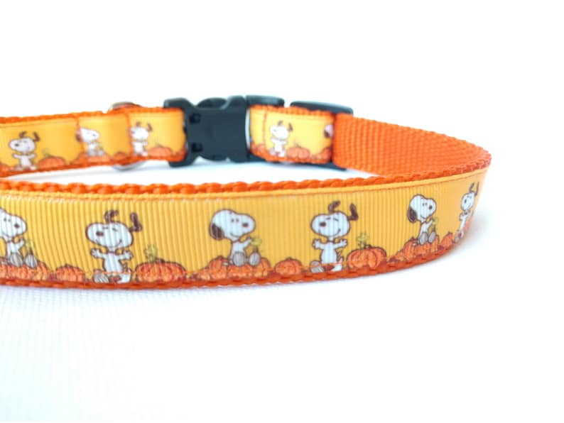 Snoopy Pumpkin Dog Collar 1 Width Adjustable Length