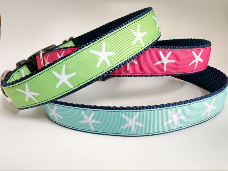 Adjustable Length Dog Collar 1 Inch width Starfish Dog Collar