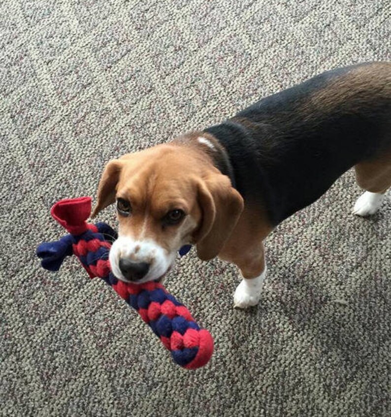 Sturdy Dog Toy Polar Fleece hard to destroy Dog Toy Etsy