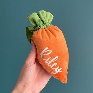 May include: A plush orange carrot-shaped bag with a green top and a white embroidered name 'Riley'.