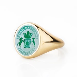 14K Gold Green Engraved Stone Signet Ring, Solid Gold Coat Of Arms Ring, Wax Seal Ring, Custom Family Crest Ring, Man Ring, Intaglio Ring