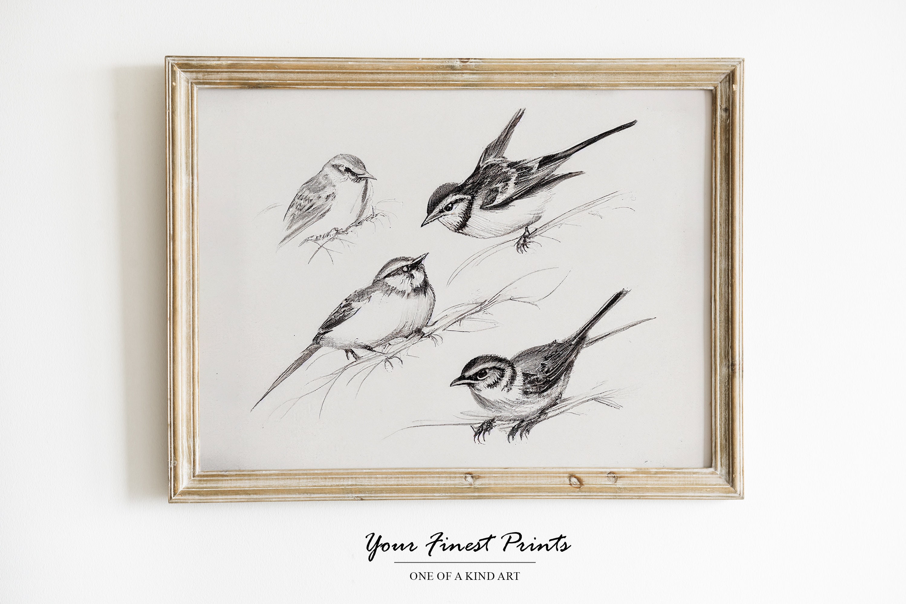 Charcoal Sketch Bird Art - Canvas Print – artAIstry