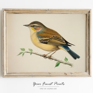 Vintage Bird Watercolor | Neutral Rustic Country Wall Art | Bird Art Sketch | Minimalist Painting | Printable Artwork | Downloadable Print