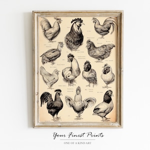 Vintage Chicken breeds | Kitchen art | Chicken lover | Antique Farm print | French country decor | Printable Artwork | Downloadable Print
