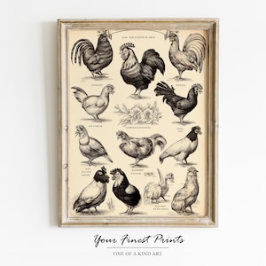 Vintage Chicken breeds | Kitchen art | Chicken lover | Antique Farm print | French country decor | Printable Artwork | Downloadable Print