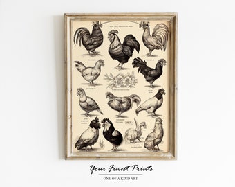 Vintage Chicken breeds | Kitchen art | Chicken lover | Antique Farm print | French country decor | Printable Artwork | Downloadable Print