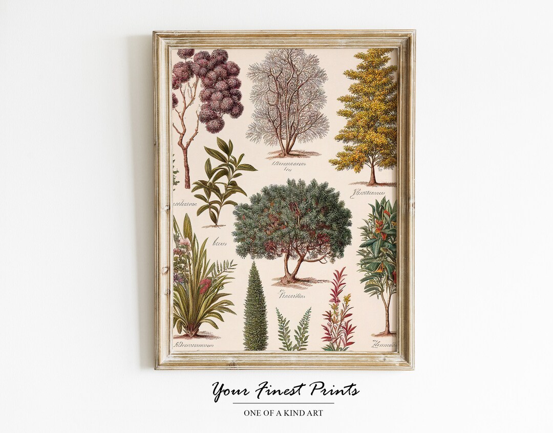 Vintage Tree Print Book Page Botanical Botany Tree Poster Vintage Book