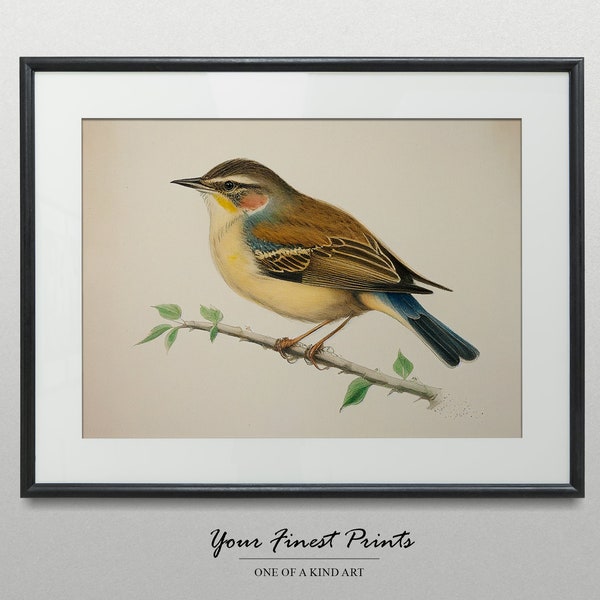 Vintage Bird Watercolor | Neutral Rustic Country Wall Art | Bird Art Sketch | Minimalist Painting | Printable Artwork | Framed Prints