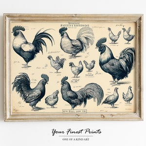 Vintage Chicken breeds | Kitchen art | Chicken lover | Antique Farm print | French country decor | Printable Artwork | Downloadable Print