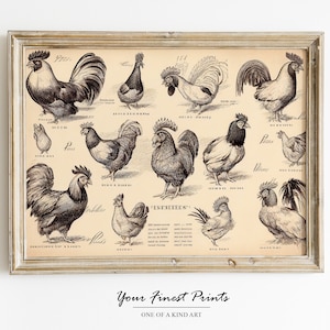 Vintage Chicken breeds | Kitchen art | Chicken lover | Antique Farm print | French country decor | Printable Artwork | Downloadable Print