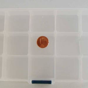 Può includere: Una scatola di contenimento in plastica trasparente con 12 scomparti. La scatola ha un fermo blu sul davanti. Una moneta di colore rame si trova in uno degli scomparti.