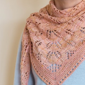 May include: A pink and peach knitted shawl with a lacy pattern. The shawl is draped around the shoulders of a person wearing a light blue sweater.