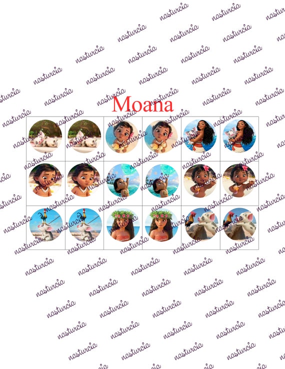 4 In 1 Rio Moana Kung Fu Panda Rabbit Mee Bottle Cap Images Etsy